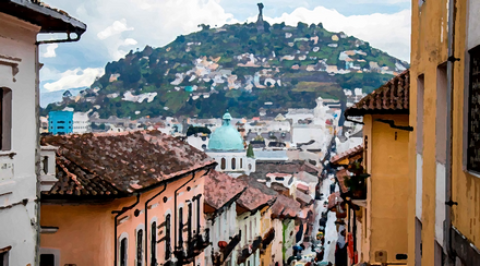 Agentes y Brokers de Seguros en Ecuador - Resumen de desempeño 2020